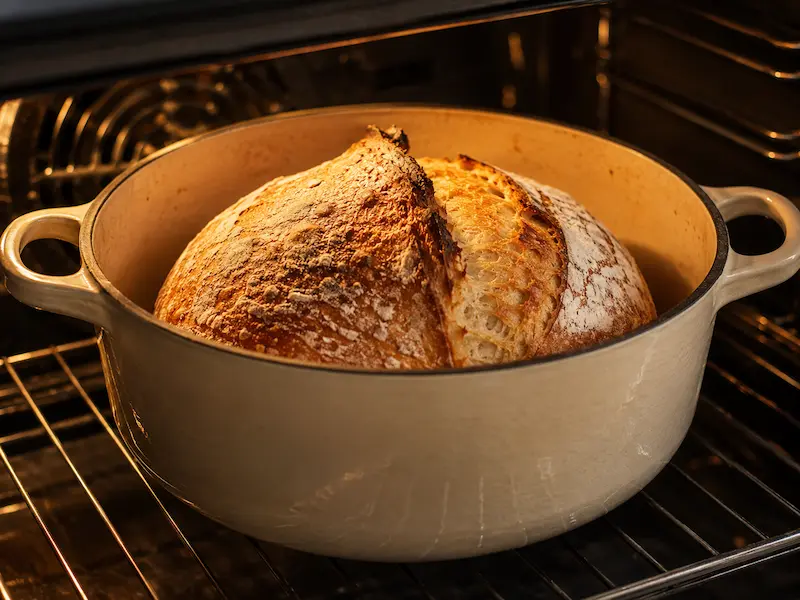 A well risen scored sourdough loaf with a deep ear and good oven spring inside a Dutch oven with the lid removed in a home oven in warm golden light
